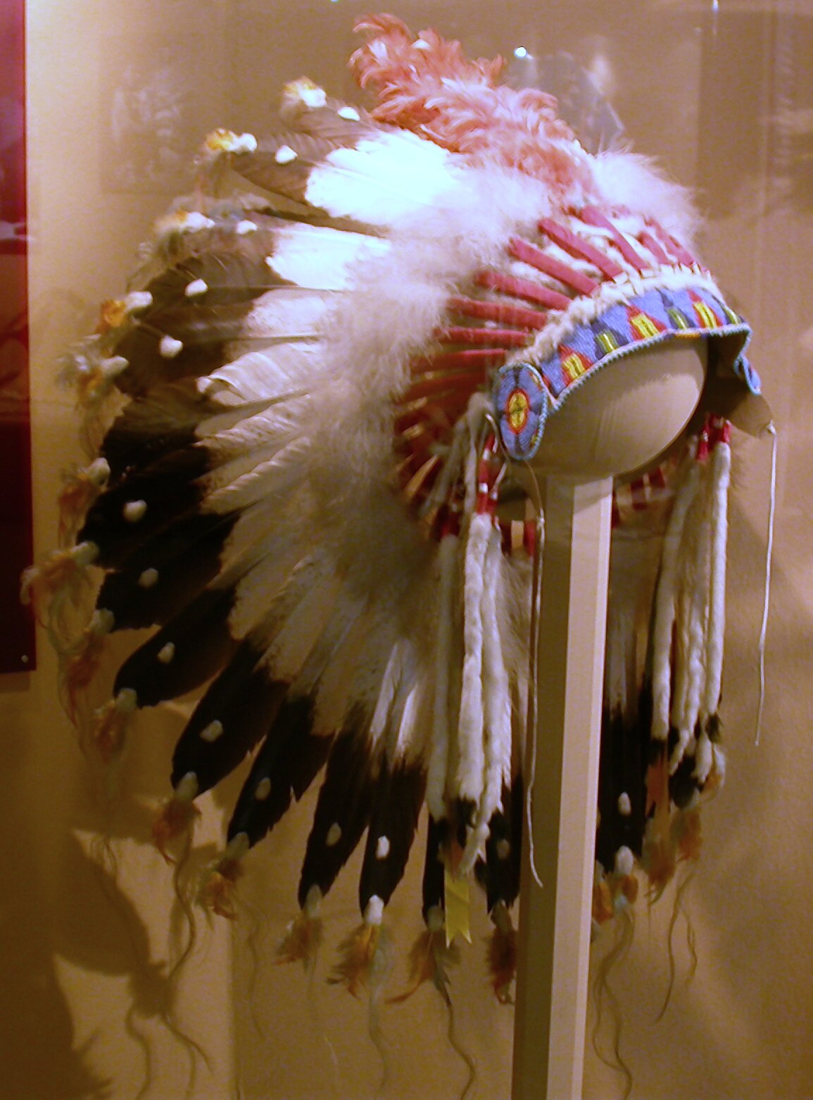 war bonnet