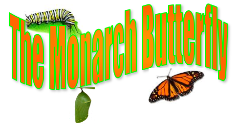 Monarch Header1